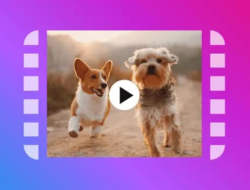 Instagram-Video-Downloader